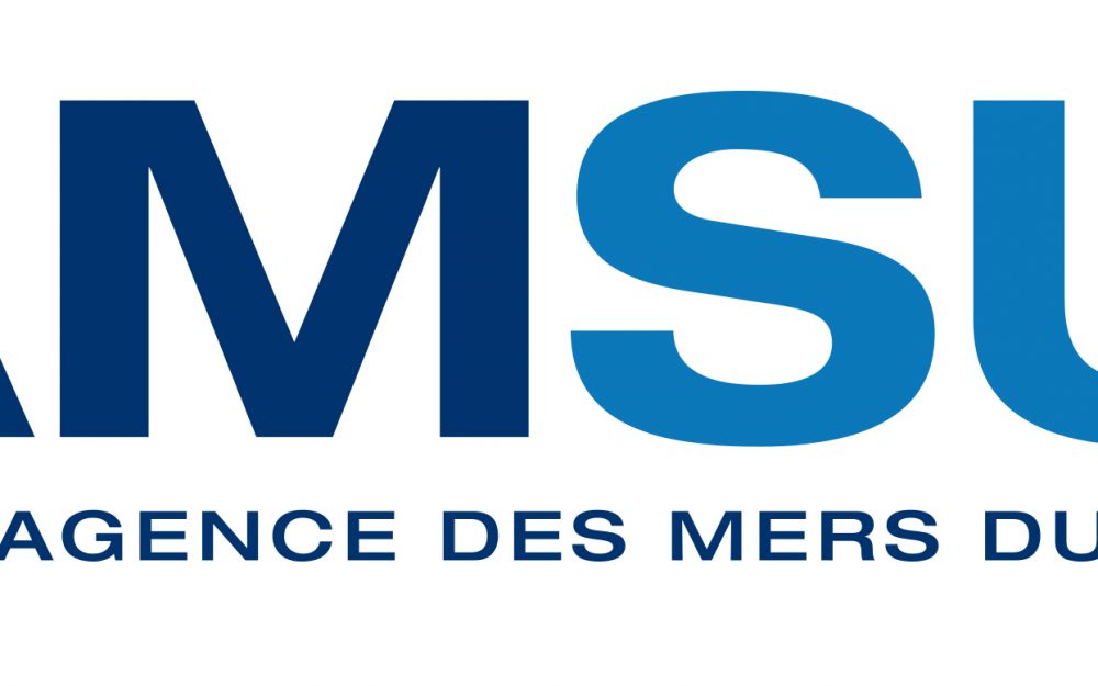 AMSUD